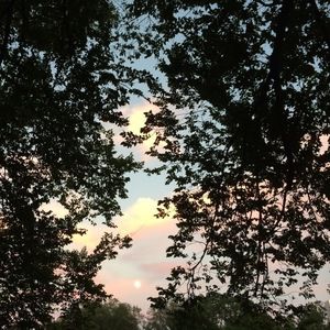 Meet your Posher, Ava